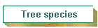 Tree species