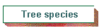 Tree species