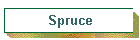 Spruce