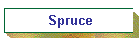 Spruce