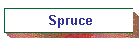 Spruce