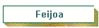 Feijoa
