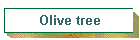 Olive tree