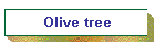 Olive tree