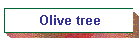 Olive tree