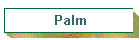 Palm