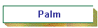 Palm