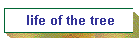 life of the tree