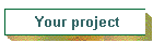 Your project
