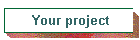Your project