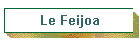 Le Feijoa