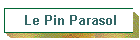 Le Pin Parasol